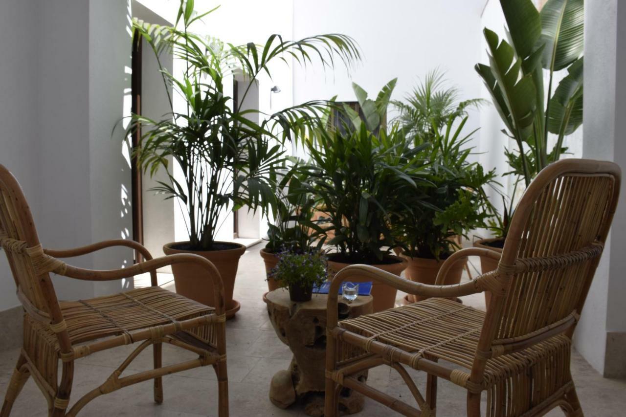 Chacon Apartments & Suites 에스테포나 외부 사진